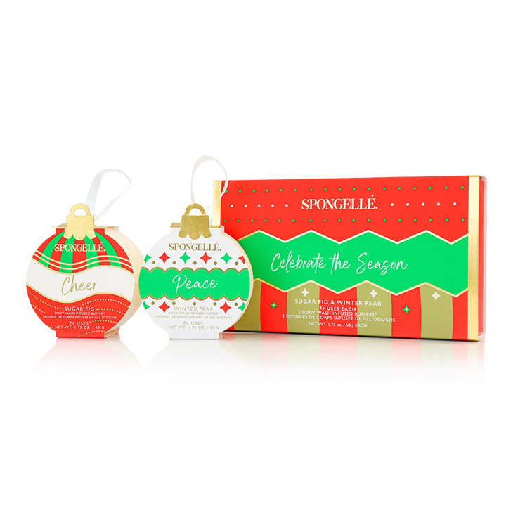 Holiday Ornament Gift Set - Celebrate the Season